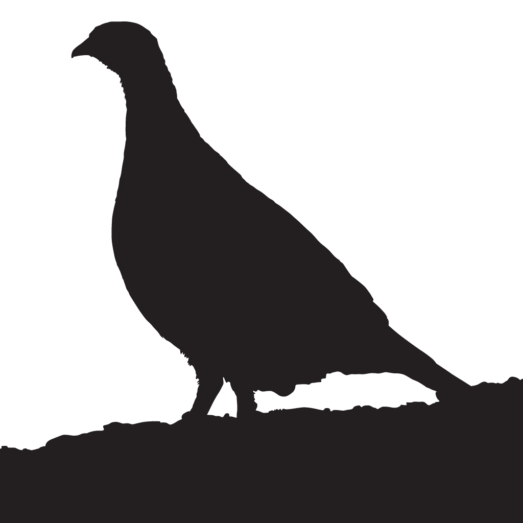 Silhouette Game Birds