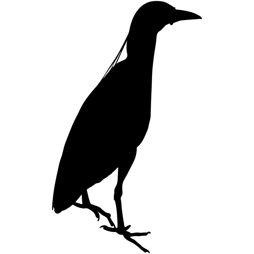 Silhouette Herons