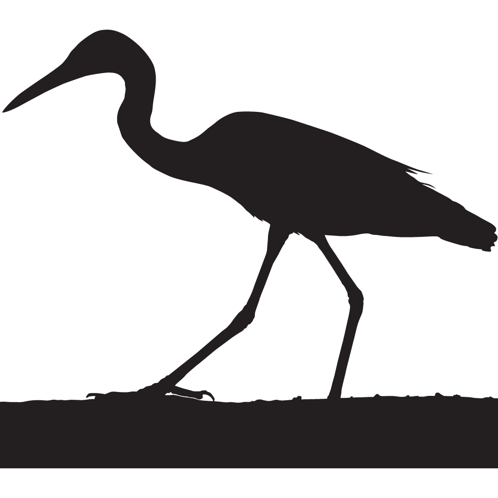 Silhouette Herons